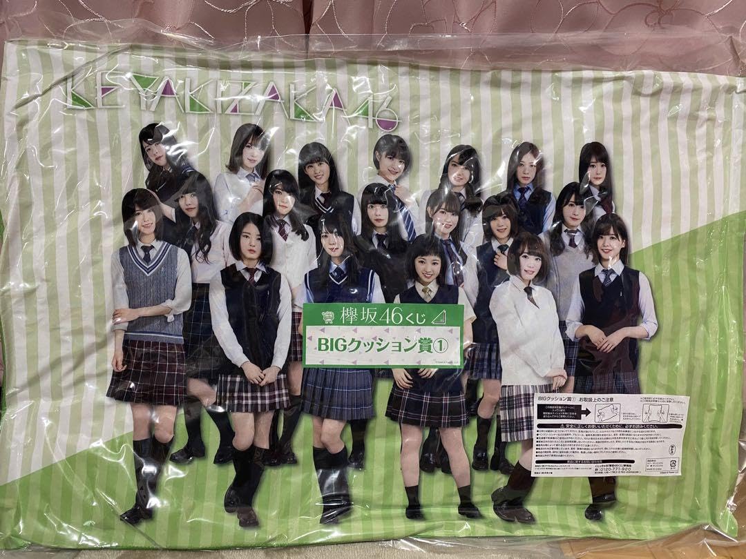 Amazon.co.jp: ・欅坂・けやき坂 一番くじBIGクッション 2つセット